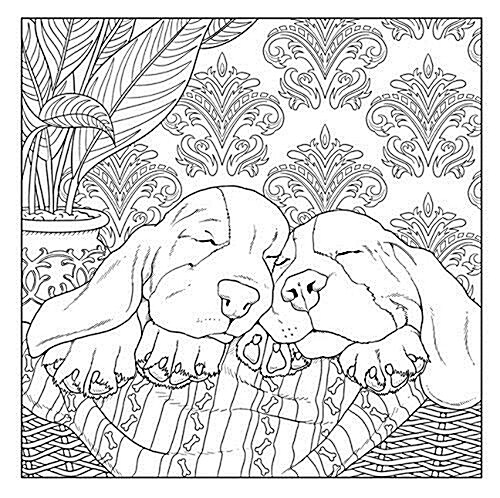 All about the Dog : A Dog Lovers Coloring Book (Paperback)