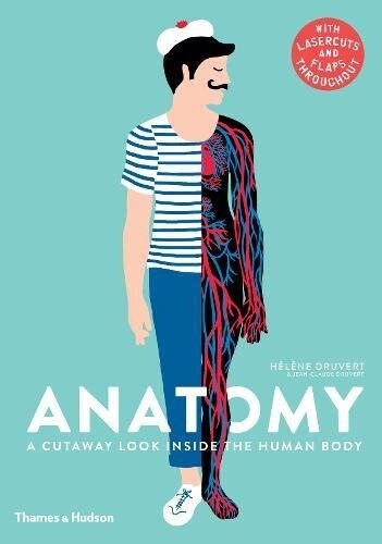 Anatomy : A Cutaway Look Inside the Human Body (Hardcover)