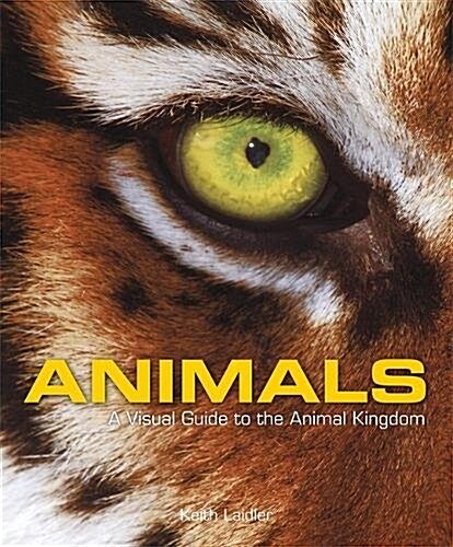 Animals : A Visual Guide to the Animal Kingdom (Hardcover)