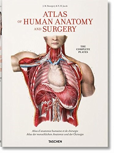 Bourgery. Atlas of Human Anatomy and Surgery (Hardcover)