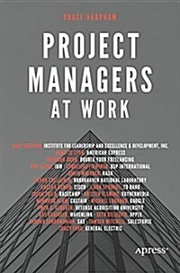 Project Managers at Work (Paperback)