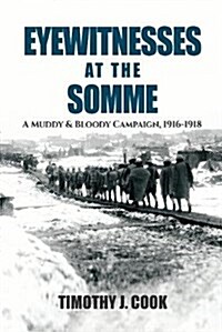 Eyewitnesses at the Somme : A Muddy and Bloody Campaign 1916 1918 (Hardcover)