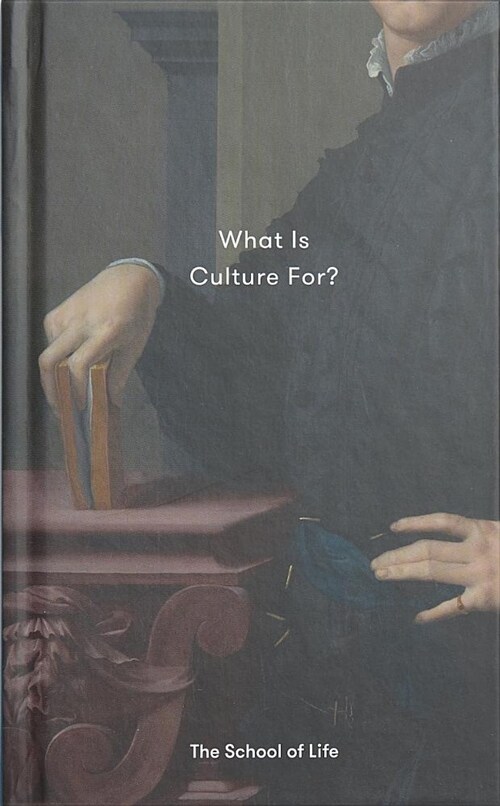 What Is Culture For? (Hardcover)