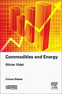 Mineral Resources and Energy : Future Stakes in Energy Transition (Hardcover)