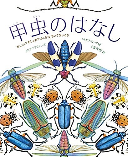 甲蟲のはなし (かしこくておしゃれでふしぎな、ちいさないのち) (大型本)