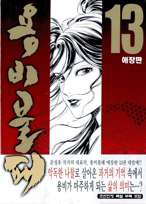 용비불패 13