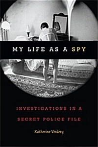 My Life as a Spy: Investigations in a Secret Police File (Paperback)