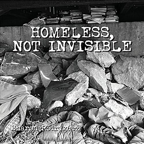 Homeless, Not Invisible (Paperback)