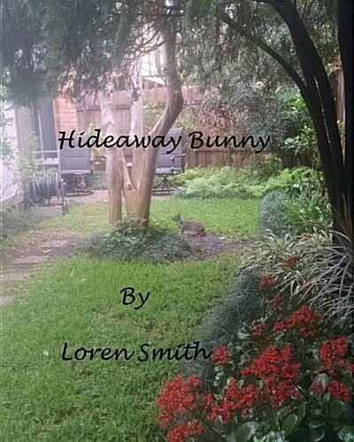 Hideaway Bunny (Paperback)