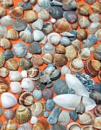 Shell Collecting (Paperback)