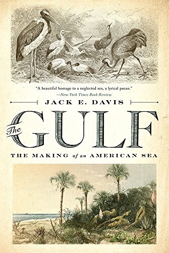 The Gulf: The Making of an American Sea (Paperback)