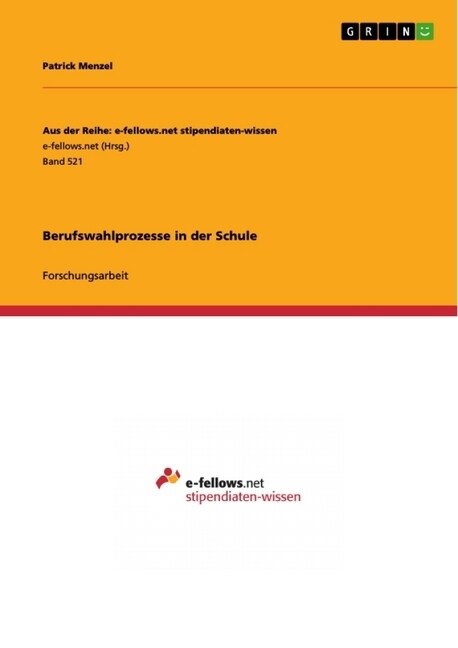Berufswahlprozesse in Der Schule (Paperback)