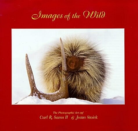 Images of the Wild (Hardcover)