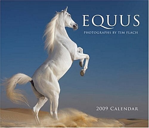 Equus 2009 Calendar (Paperback, Wall)