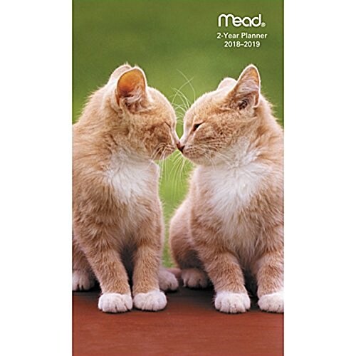 Kittens 2018 Pocket Planner (Paperback, Engagement)