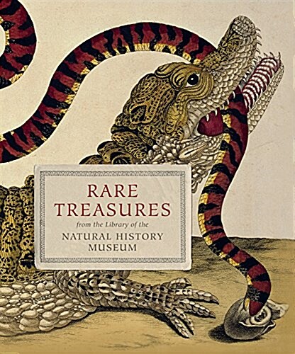 Rare Treasures : From the Library of the Natural History Museum (Hardcover)