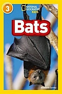 Bats : Level 3 (Paperback)
