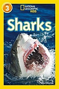 Sharks : Level 3 (Paperback)