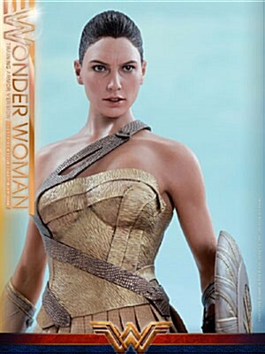 [Hot Toys] 원더우먼 MMS424 1/6th scale Wonder Woman (Training Armor Version)