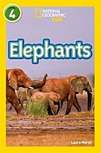 Elephants : Level 4 (Paperback)