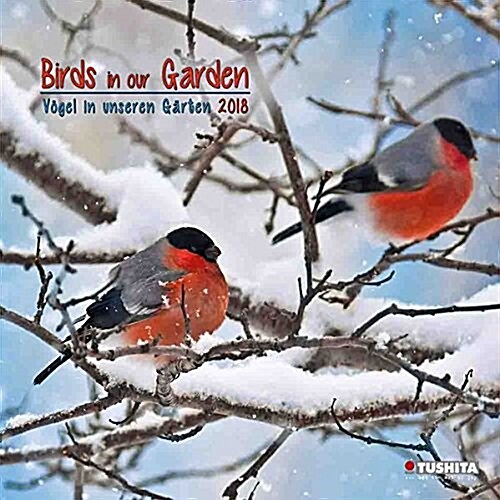 Birds in Our Garden 2018 (Calendar)