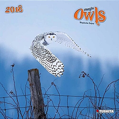 Magic Owls 2018 (Calendar)