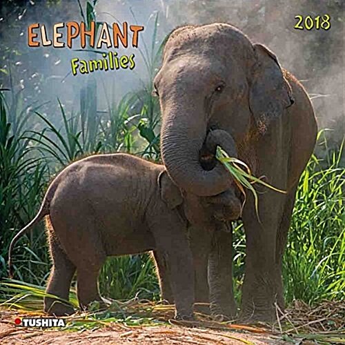 Elephant Families 2018 (Calendar)