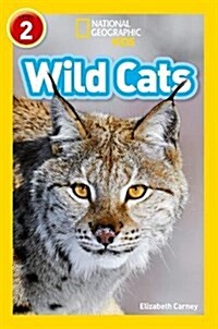 Wild Cats : Level 2 (Paperback)