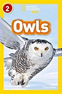 Owls : Level 2 (Paperback)