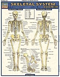 Skeletal System: Advanced (Other)