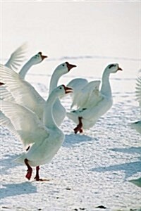 Winter Theme Journal Snow Geese: (Notebook, Diary, Blank Book) (Paperback)