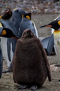 Fluffy Brown Oakum Boy Young King Penguin Journal: 150 Page Lined Notebook/Diary (Paperback)