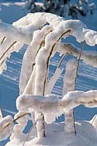 Winter Theme Journal Snow Covered Twigs: (Notebook, Diary, Blank Book) (Paperback)