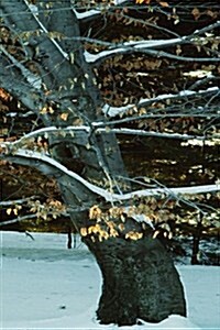 Winter Theme Journal Snowy Tree: (Notebook, Diary, Blank Book) (Paperback)