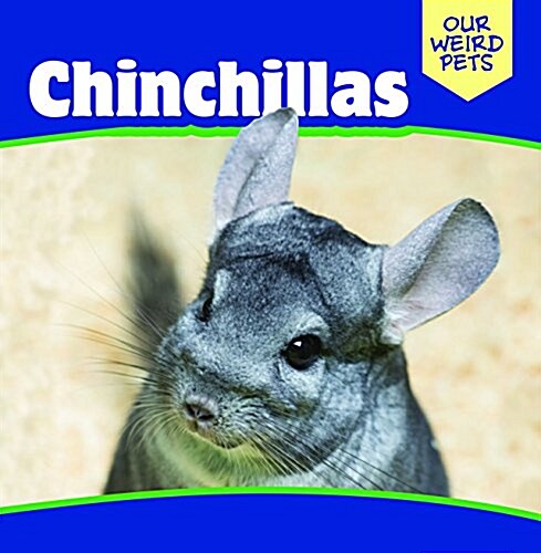 Chinchillas (Paperback)