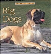 Big Dogs (Library Binding)