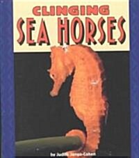 Clinging Sea Horses (Paperback)