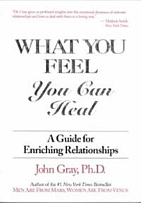 What You Feel, You Can Heal: A Guide for Enriching Relationships (Paperback)
