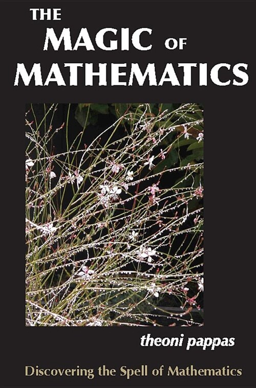 The Magic of Mathematics: Discovering the Spell of Mathematics (Paperback)