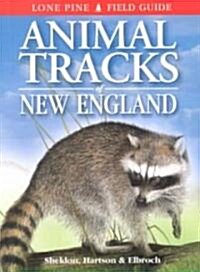 Animal Tracks of New England (Paperback)