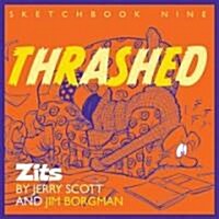 Thrashed: Zits Sketchbook No. 9 Volume 13 (Paperback)