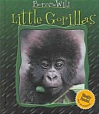 Little Gorillas (Library Binding)