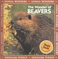 The Wonder of Beavers (Library Binding)