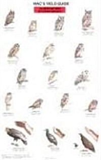 Macs Field Guides: North American Birds of Prey (Paperback)