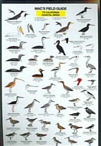 Macs Field Guides: California Coastal Birds (Other)