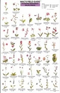 Macs Field Guides: Pacific NW Wildflowers (Other)