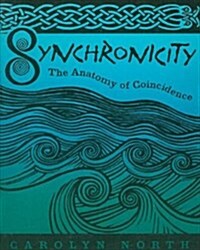 Synchronicity: The Anatomy of Coincidence (Paperback)