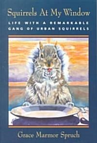 Squirrels at My Window (Paperback)