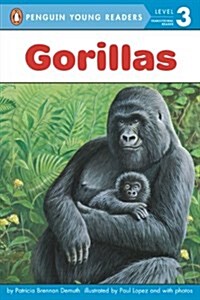 [중고] Gorillas (Paperback)