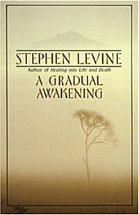 A Gradual Awakening (Paperback, Reissue)